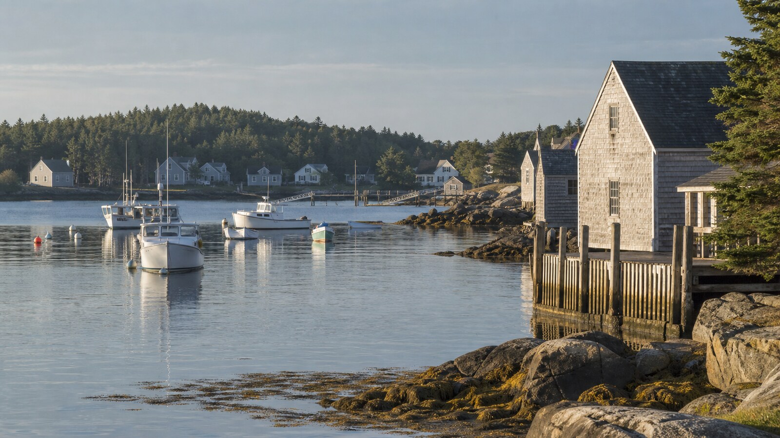 A quiet harbor at the edge of town.