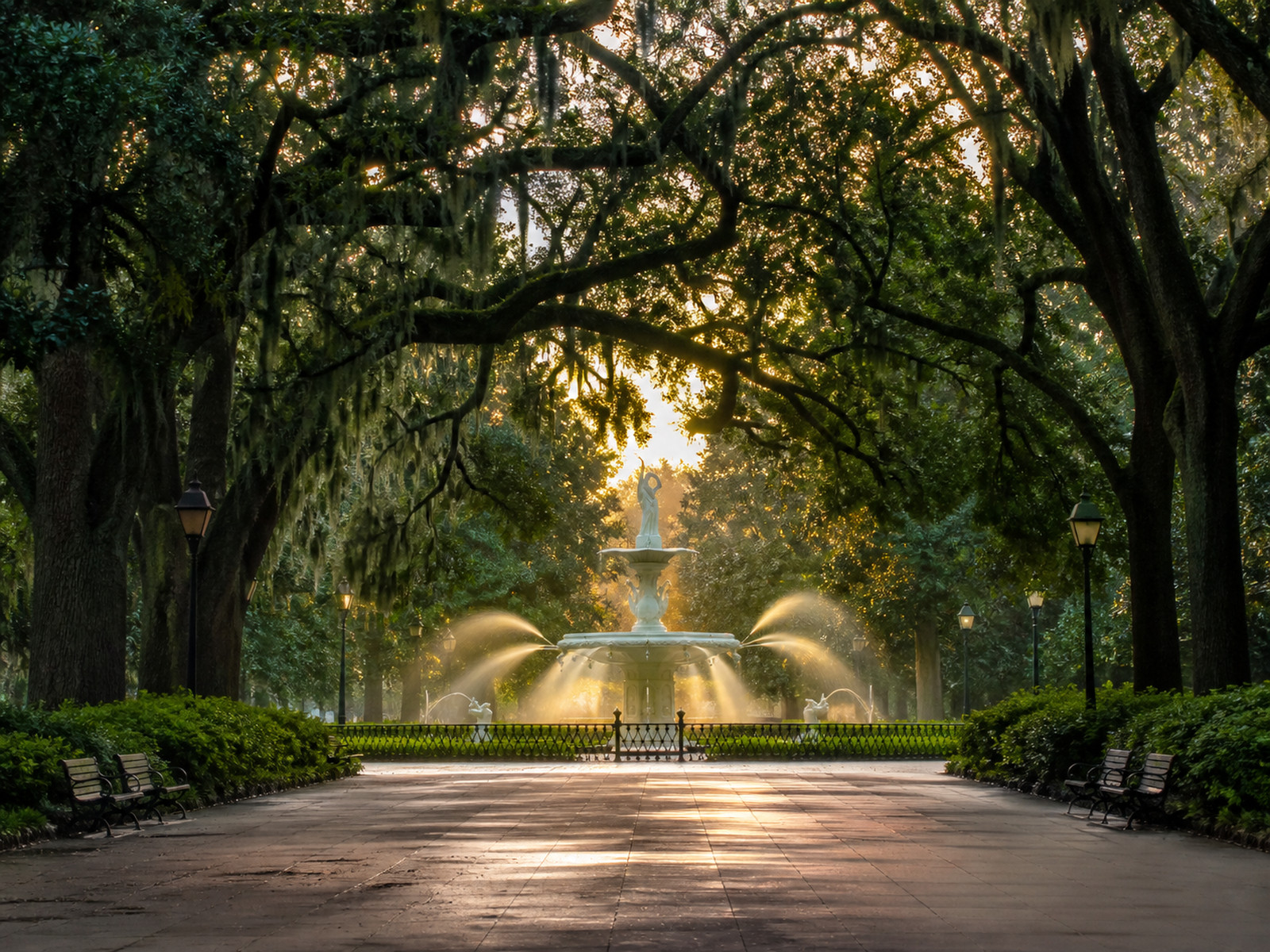 Forsyth Park fountain framed by live oaks and Spanish moss in warm morning light.